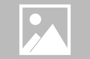 在线投注-德超杯-拜仁vs斯图加特首发：凯恩领衔，迪亚斯、奥利塞先发